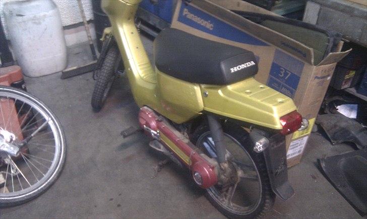 Honda Wallaroo  billede 10