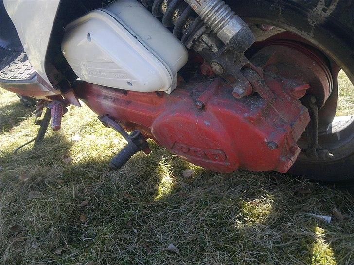 PGO hot 50 billede 5