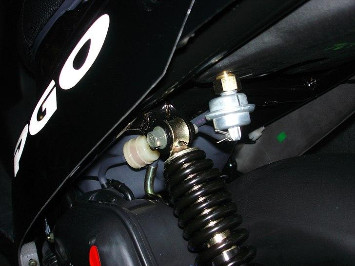 PGO HOT 50 billede 11