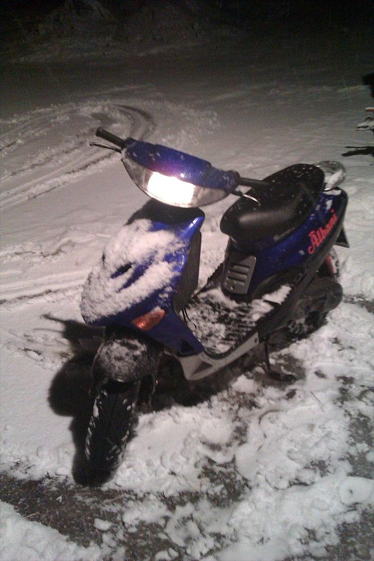 Adly Silverfox ' Solgt!! billede 1