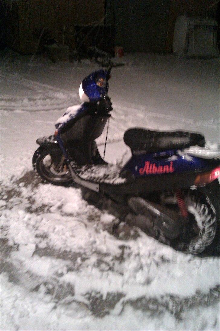 Adly Silverfox ' Solgt!! billede 2