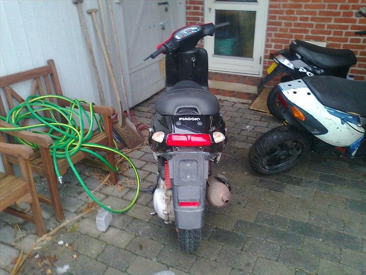 Piaggio typhoon billede 2