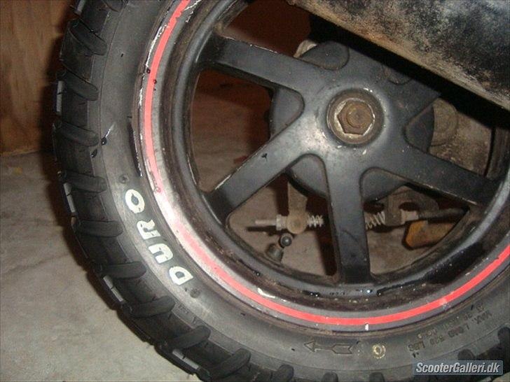 PGO Hot50 B til sonic billede 3