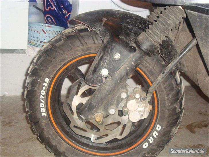 PGO Hot50 B til sonic billede 10