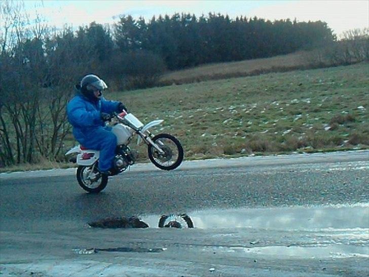 MiniBike blueberry billede 7