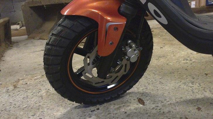 PGO Hot 50 SP - 2 kaliber forbremse billede 6