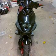 PGO pmx sport - SOLGT