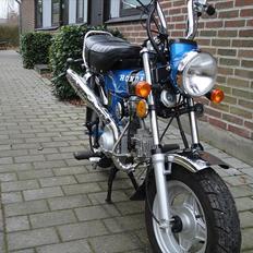 Honda dax