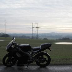 Aprilia Rs50 LC DD Carbon STJÅLET