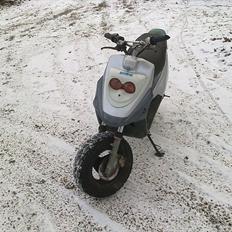 PGO **Die Grünnes** 