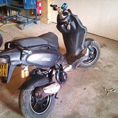 PGO PMX naked carbon