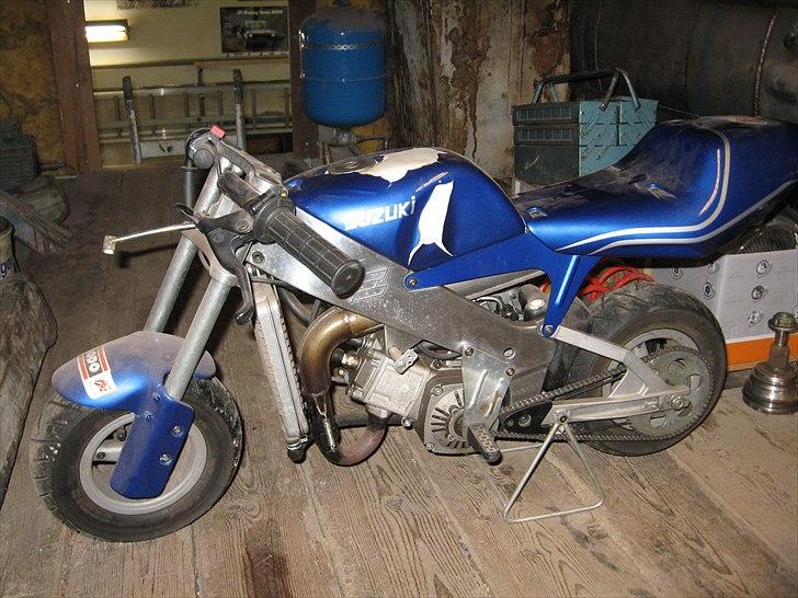 Polini polini billede 3