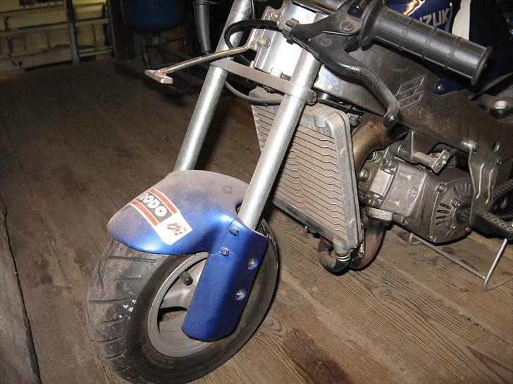 Polini polini billede 4