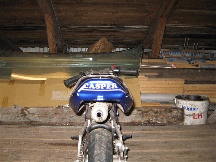 Polini polini billede 5