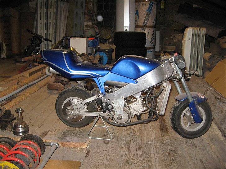 Polini polini billede 6