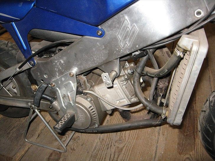 Polini polini billede 7