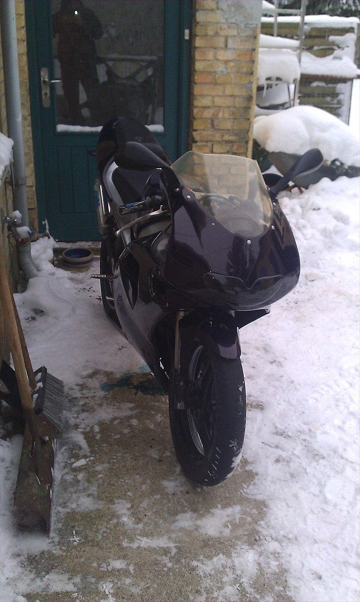 Aprilia Aprilia rs 50 billede 1