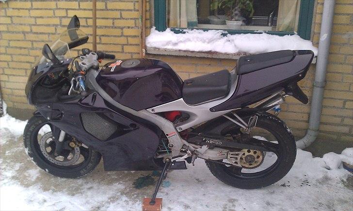 Aprilia Aprilia rs 50 billede 2
