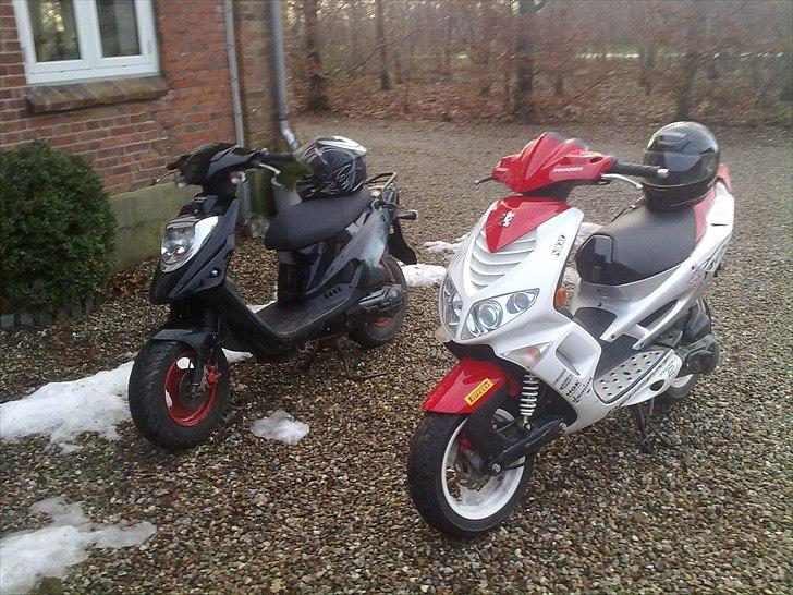 PGO Hot 50 billede 5