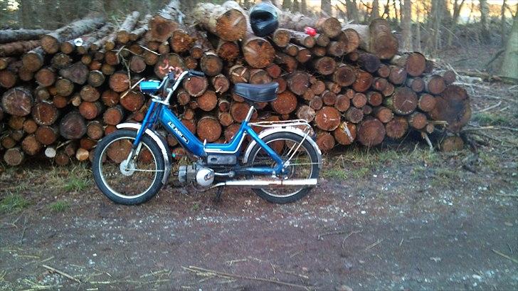 Puch maxi P ''byttet'' billede 2