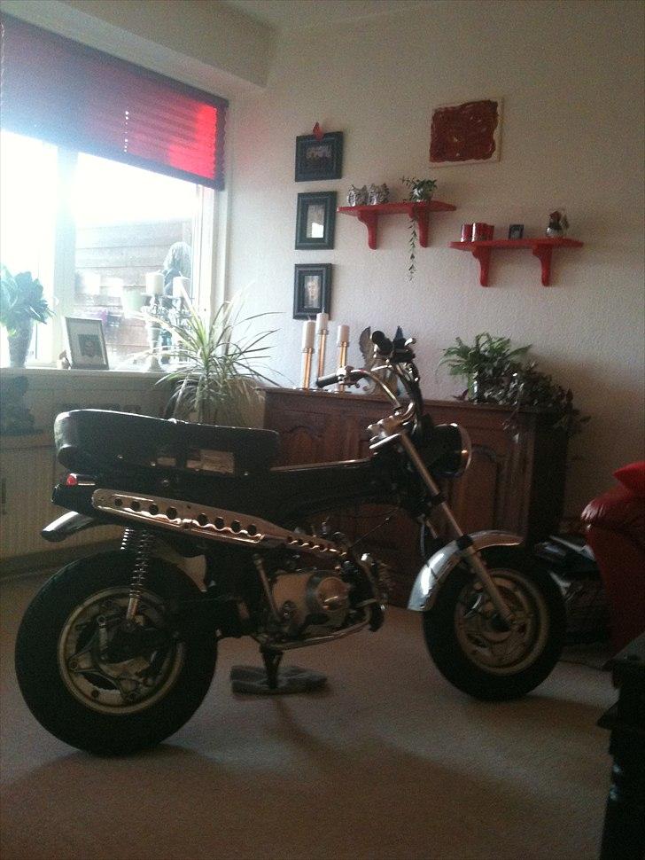 Skyteam Dax 48cc  billede 2