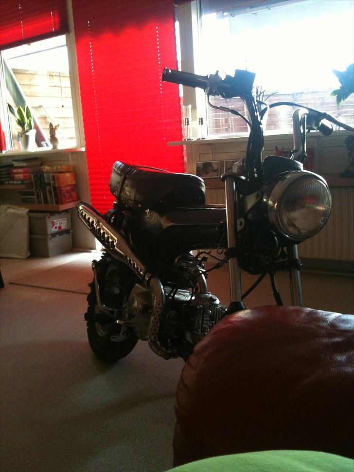 Skyteam Dax 48cc  billede 8