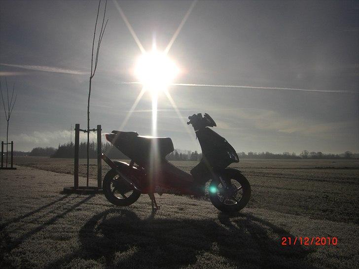 Aprilia SR50 New Factory R billede 12