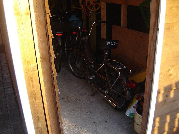 Puch maxi k billede 11