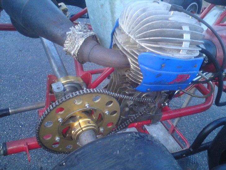 MiniBike Dino 100cc 25hk billede 6