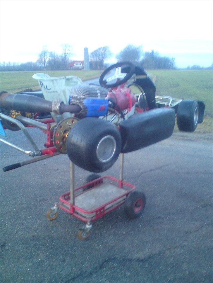 MiniBike Dino 100cc 25hk billede 10