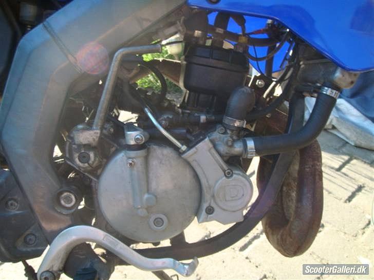Derbi Senda (Solgt) billede 4