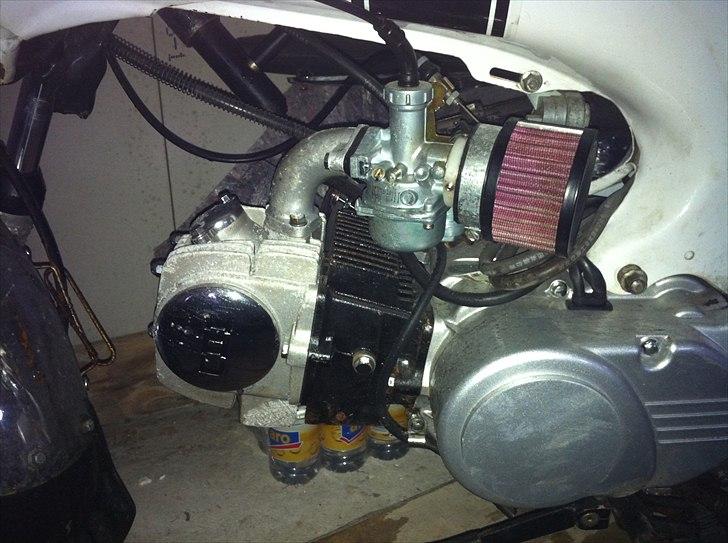 Skyteam "Honda" Dax [TIL SALG!] - 124cc Motor Ny billede 9