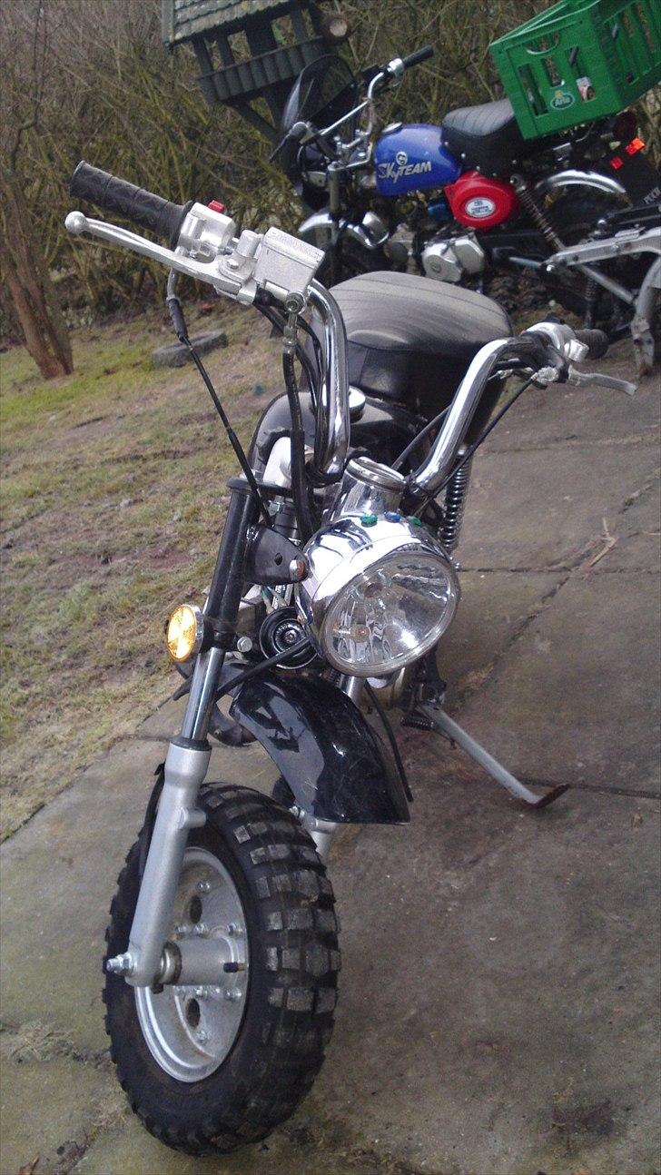 Lifan MKS ECO City Monkey Z 50 J billede 3