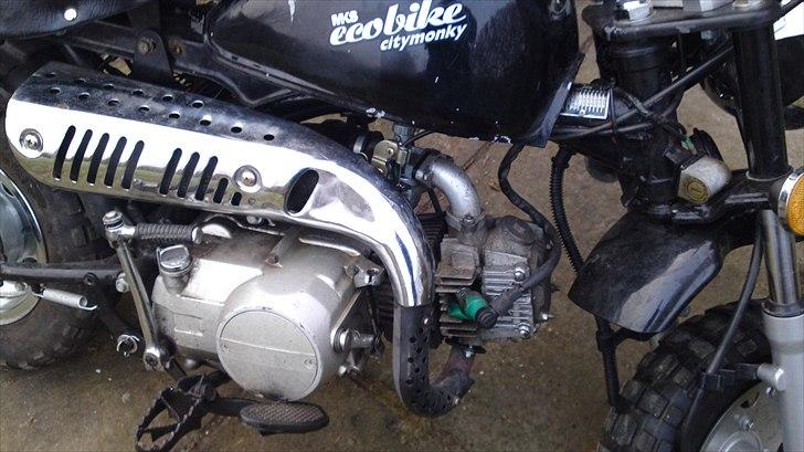 Lifan MKS ECO City Monkey Z 50 J billede 10