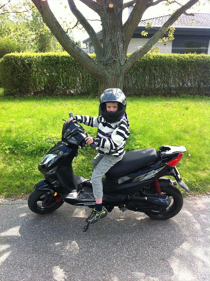 Giantco stealth billede 1