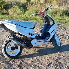 Peugeot speedfight 2