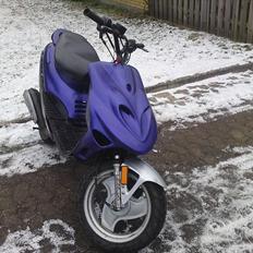 Adly silverfox kan afhentes for 1000 kr.