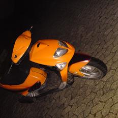 PGO Dr. big - SOLGT.