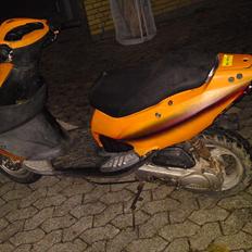 PGO Dr. big - SOLGT.