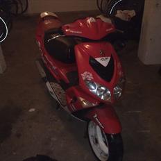 Peugeot SpeedFight 2 WRC 206