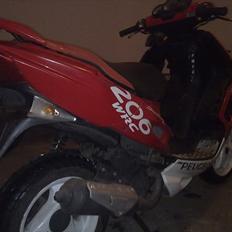 Peugeot SpeedFight 2 WRC 206