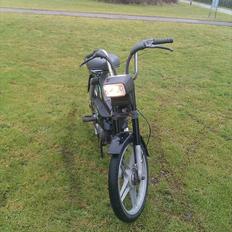 Puch maxi p1