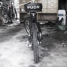 Puch maxi