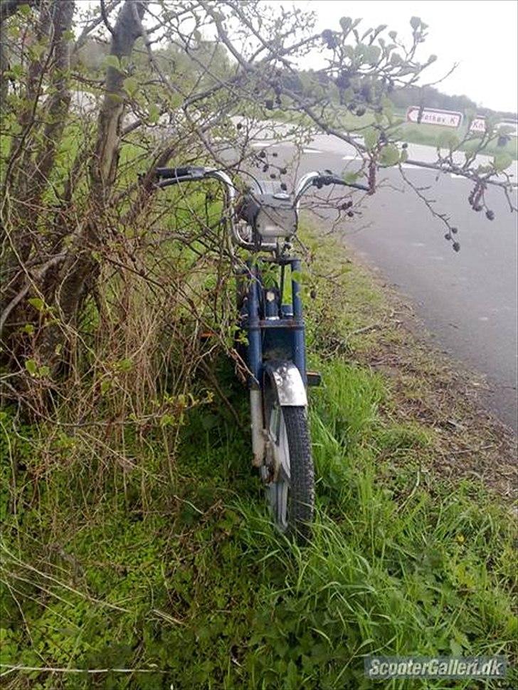 Vespa Bravo SOLGT billede 11