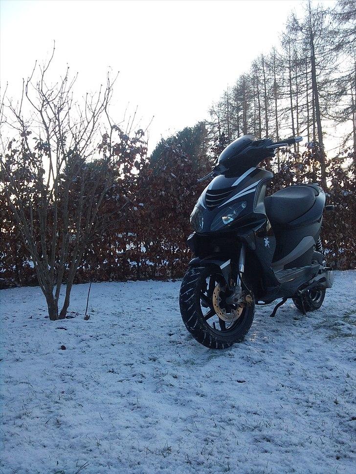 Piaggio Nrg Power DT billede 7