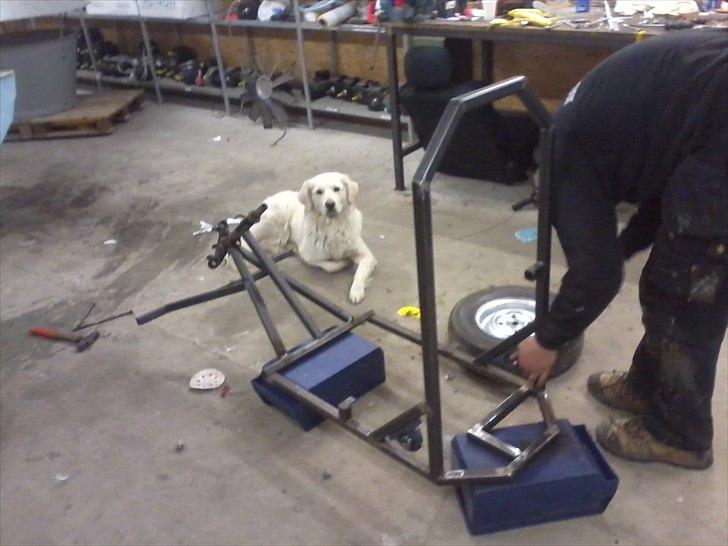 Jensen hjembyg billede 2