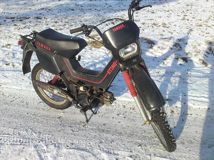 Yamaha sting billede 1