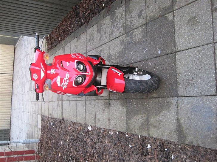 Peugeot tkr 206 billede 10