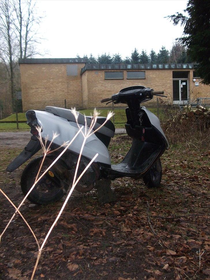 Honda sfx SOLGT :D billede 11