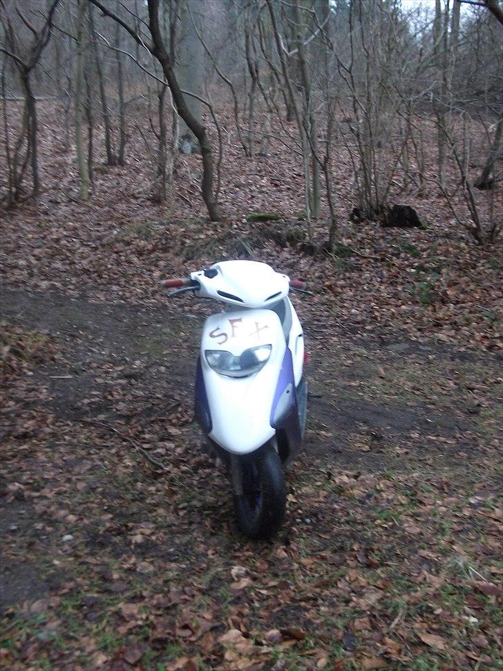 Honda sfx SOLGT :D billede 12